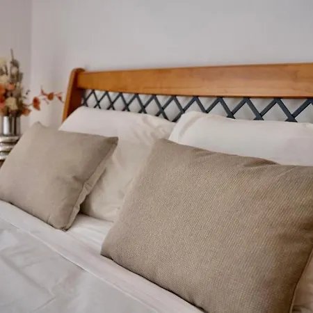 Modern And Comfortable Cabanas Appartement
